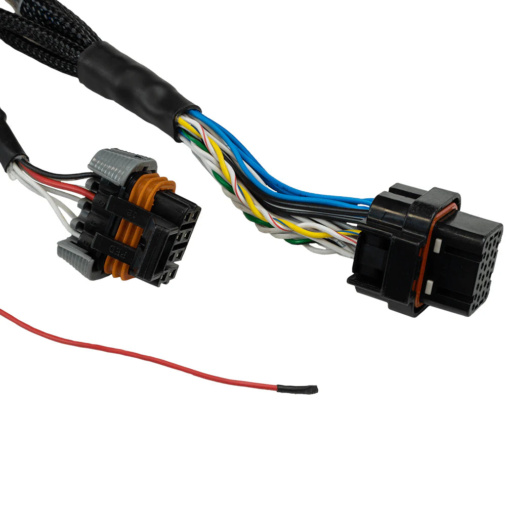 FT550 6 Cylinder Universal "B" Expansion Terminated Harness-3