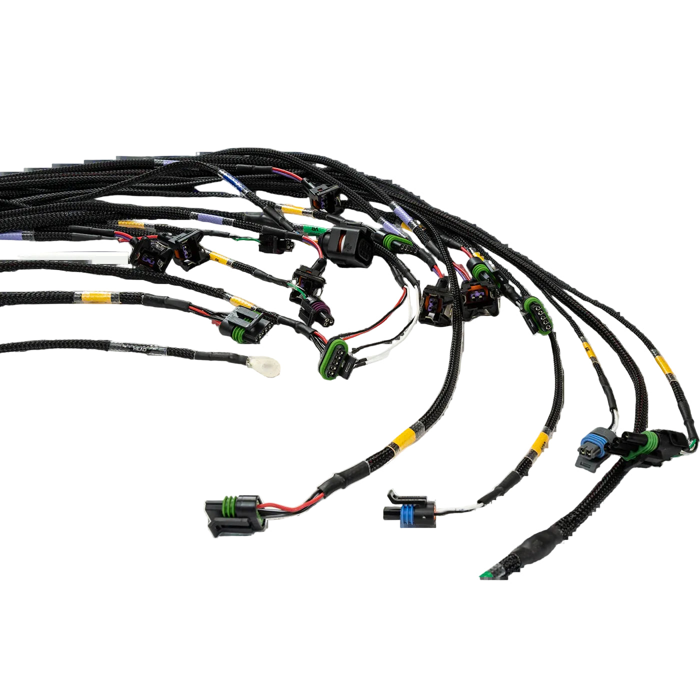 FT450/550 6 Cylinder Universal Terminated "A" Harness-2