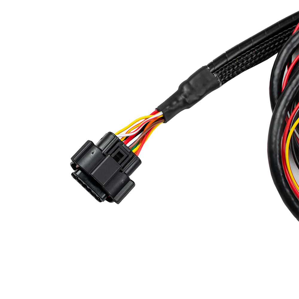 NanoPRO Wideband O2 Sensor Controller to Bosch LSU 4.9 Sensor Wiring Harness-3