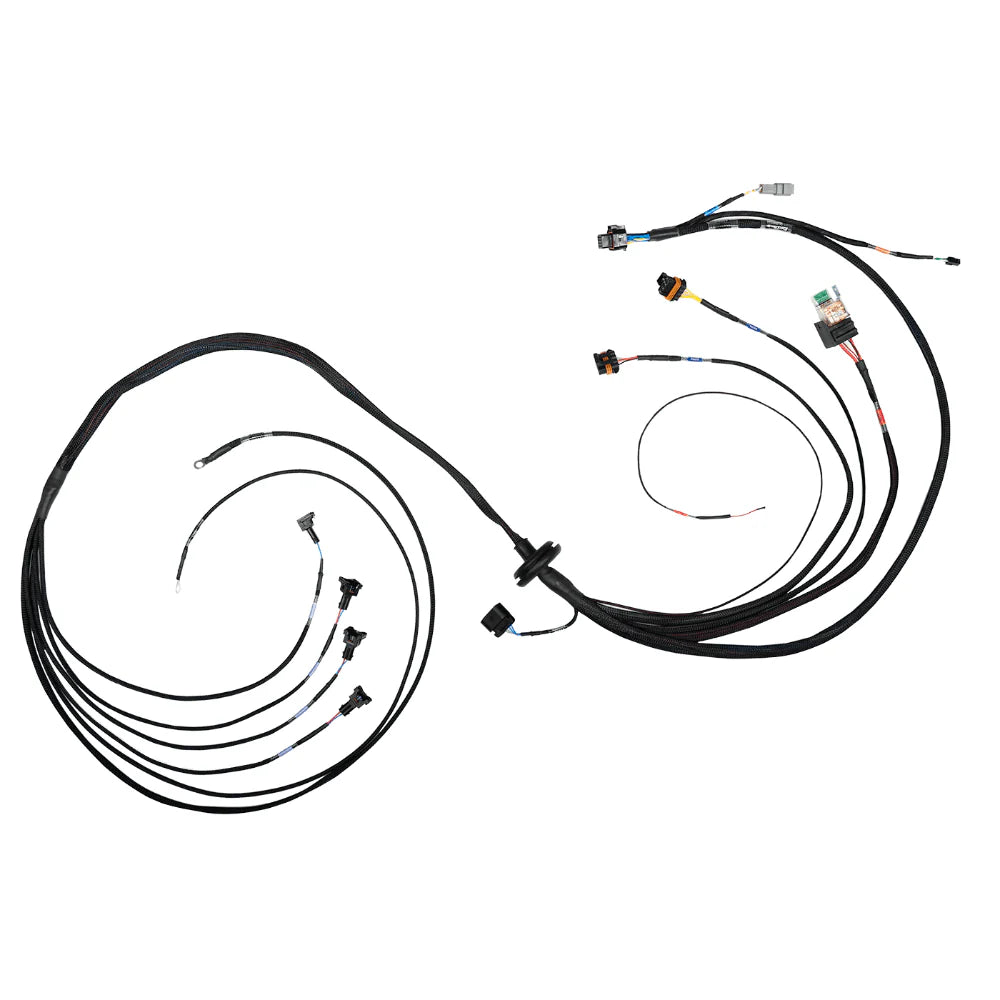 FT550 4 Cylinder Universal "B" Expansion Terminated Harness-1