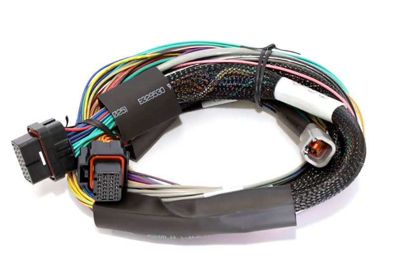 Elite 2500 + Basic Universal Wire-in Harness Kit LENGTH: 2.5m (8')-5