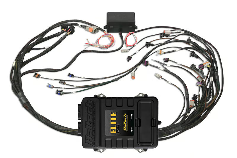 Elite 2500 + GM GEN III LS1 & LS6 (DBW Retrofit Ready) Terminated Harness Kit-2