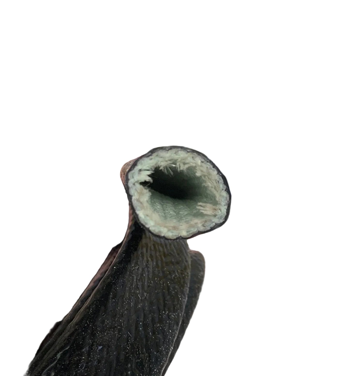 OBP Silicone Coated Heat Protection Sleeve