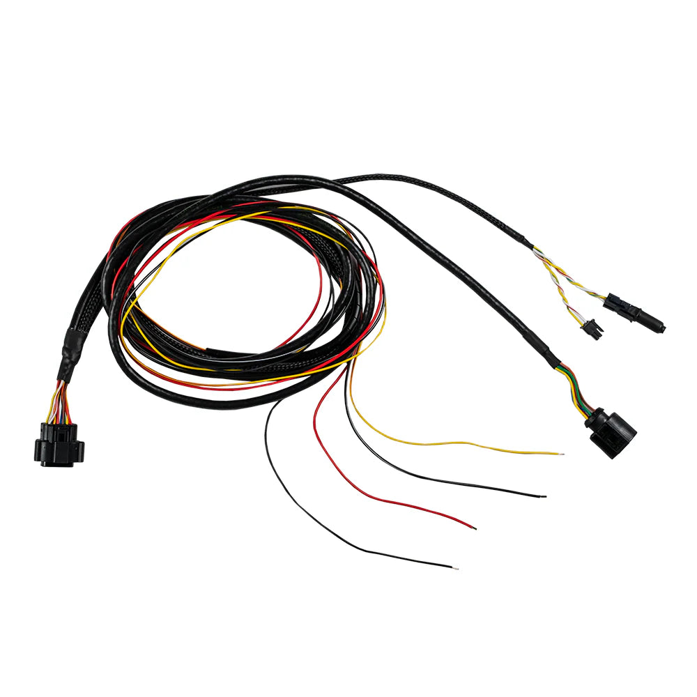 NanoPRO Wideband O2 Sensor Controller to Bosch LSU 4.9 Sensor Wiring Harness-1