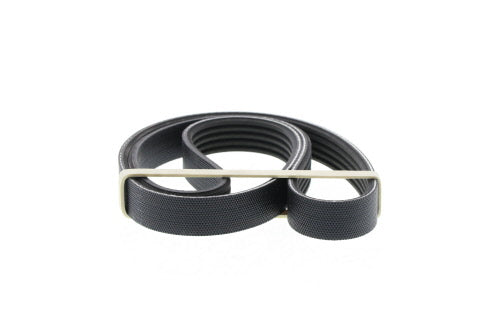 SR20 Water Pump & Alternator Belt-1