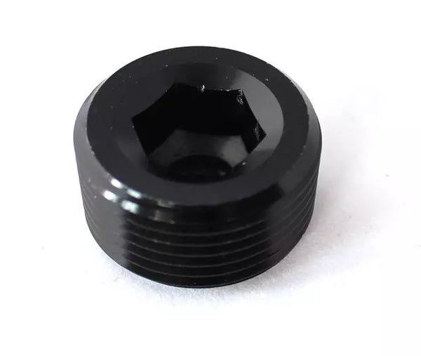 1/8NPT Male Plug Blank