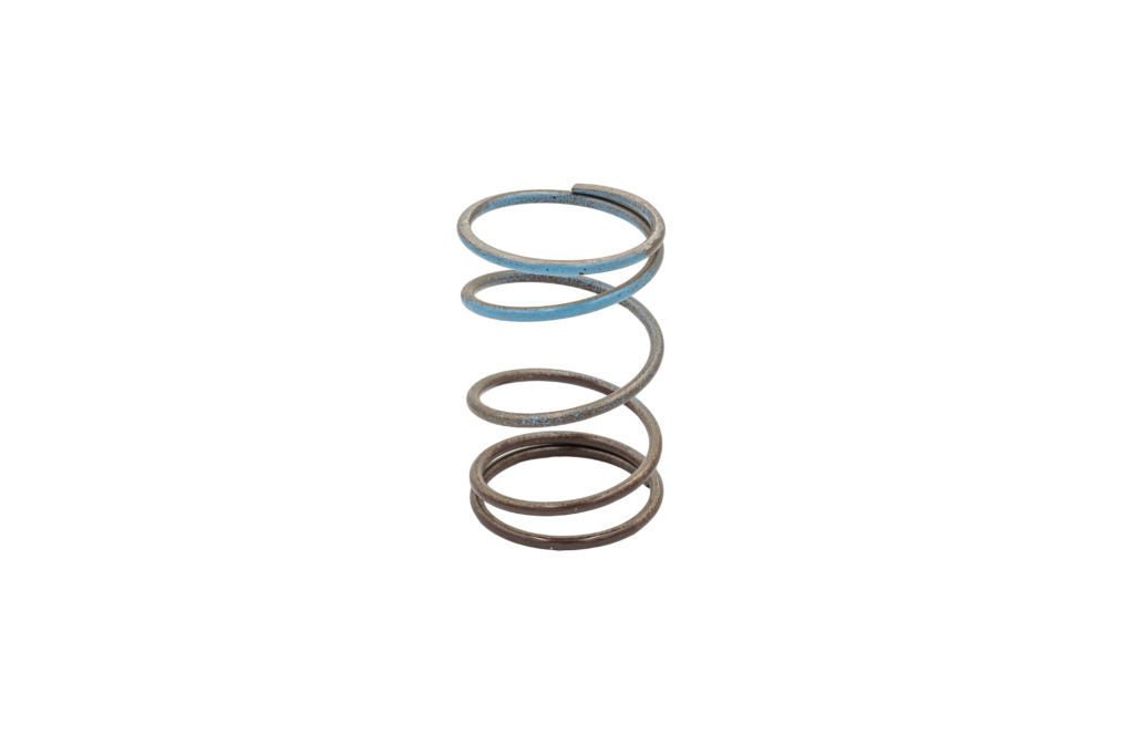 Gen 4/IWG WG38/40/45/50L 10PSI OUTER SPRING – BROWN/BLUE