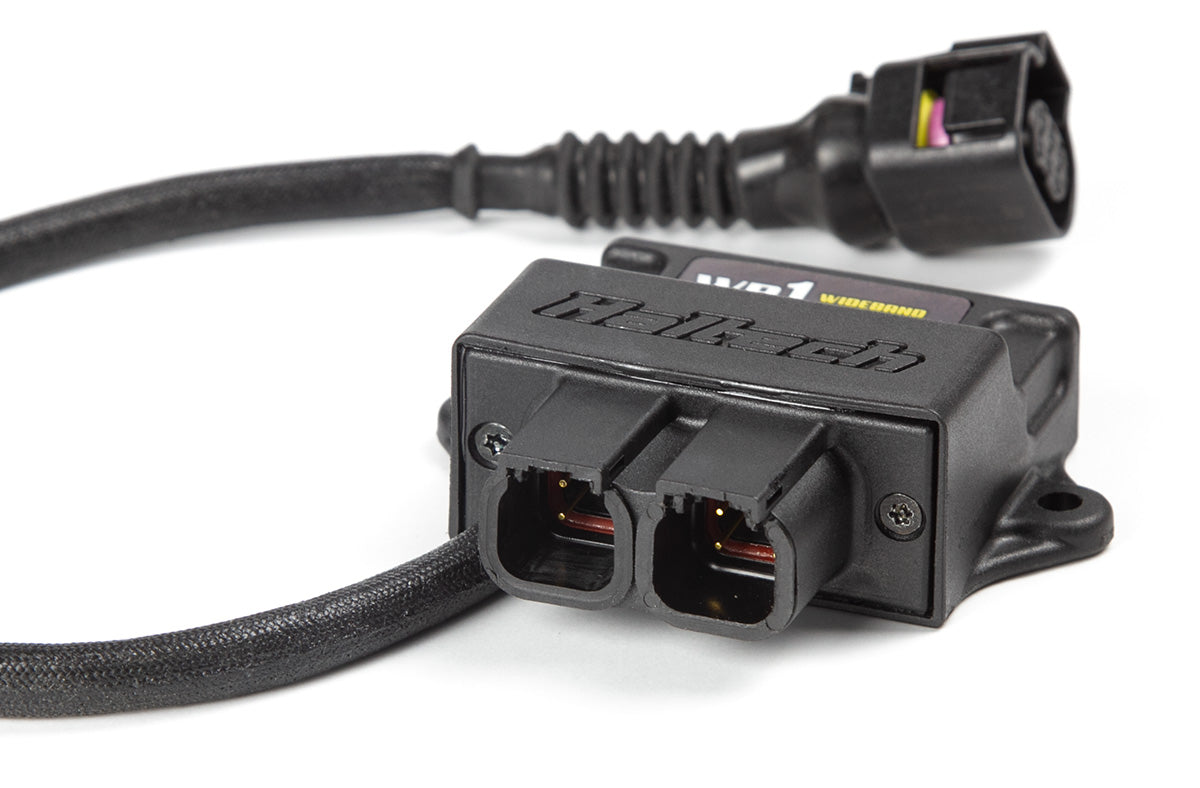 WB1 - Single Channel CAN O2 Wideband Controller Kit Length: 1.2M (4ft) - Group-D